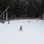 phoca_thumb_m_lye 4.den  53 Fotogalerie